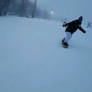 Meet your Posher, Logan